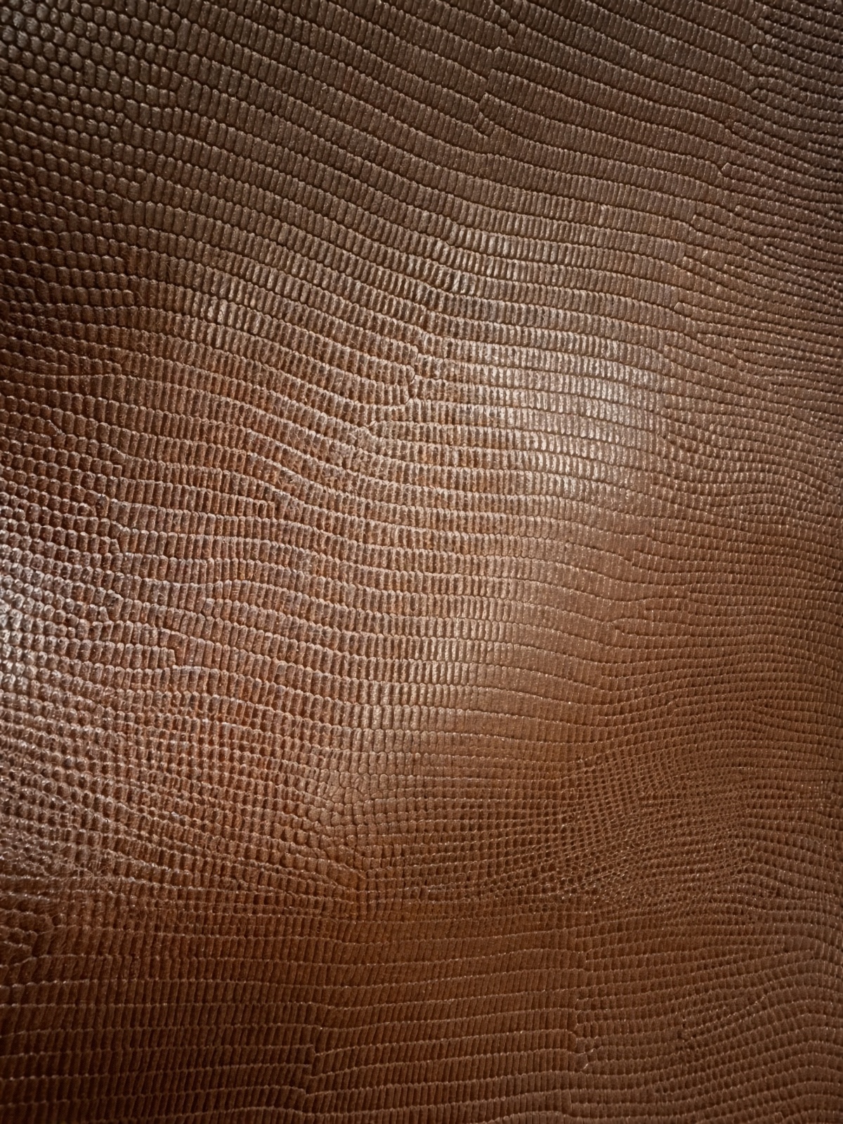 Lizard emboss